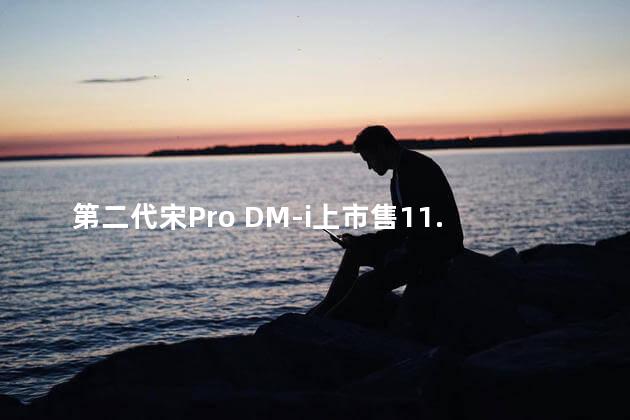 第二代宋Pro DM-i上市售11.28万起